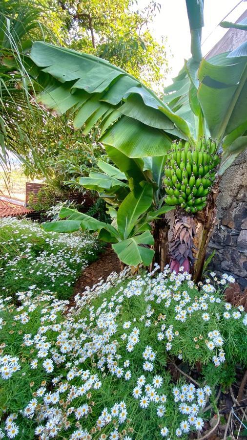 Casa Ideal Para Familias Com Vista Mar Desafogada Funchal  Exteriör bild